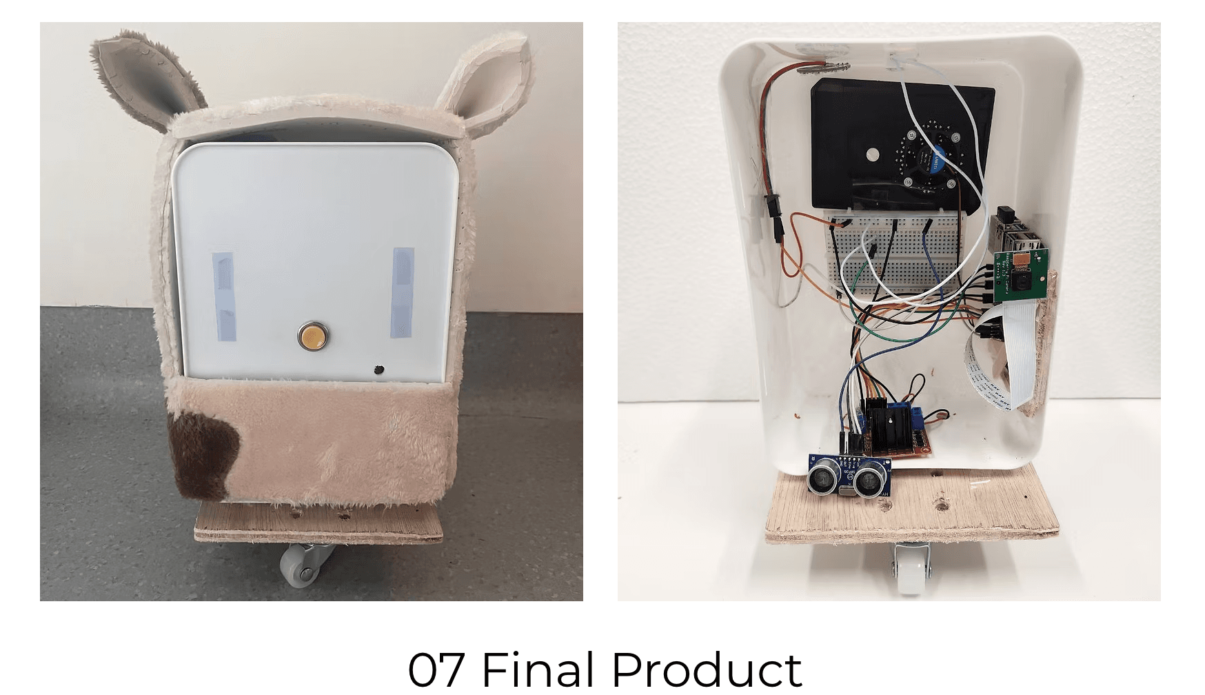 Whiskers product concept and interaction flow